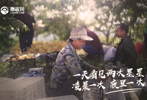 緻敬！每一(yī)位奮鬥路上(shàng)的農業人(rén)