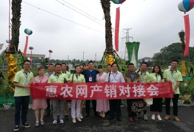 2017漢壽蔬菜網上(shàng)采購節