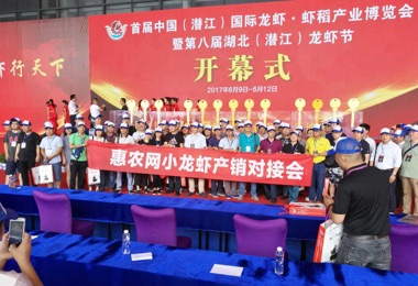 2017監利、潛江小龍蝦網上(shàng)采購節