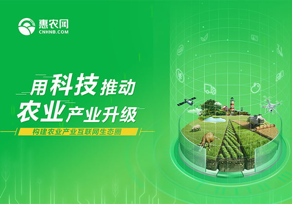 國(guó)際商報專訪 | 對接農業各環節助力精準扶貧 農村(cūn)電子商務綻放光(guāng)芒
