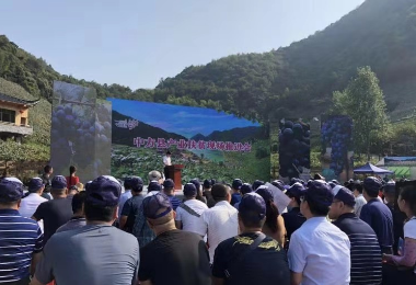 2019中國(guó)農民豐收節-刺葡萄生态文化旅遊節産銷對接會