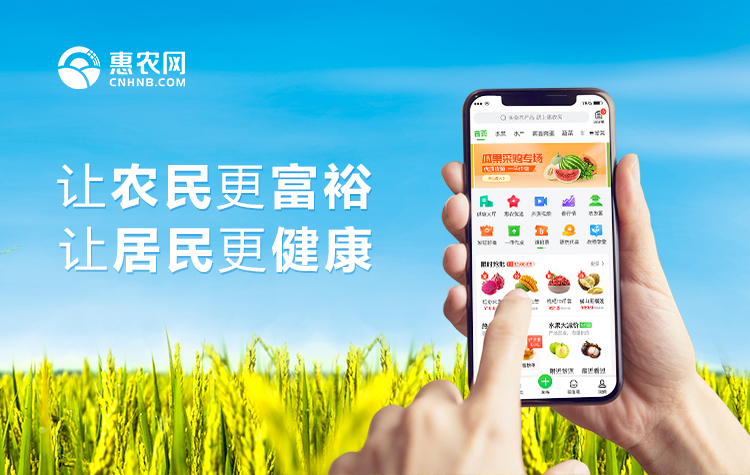 紅(hóng)網 | 惠農網：電商培訓讓農村(cūn)人(rén)才在家門口做(zuò)天下(xià)生意