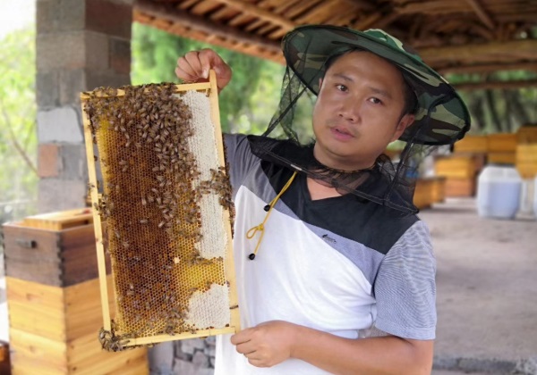 惠農網錘煉緻富帶頭人(rén) 泸溪縣張明(míng)養蜂釀就甜蜜生活