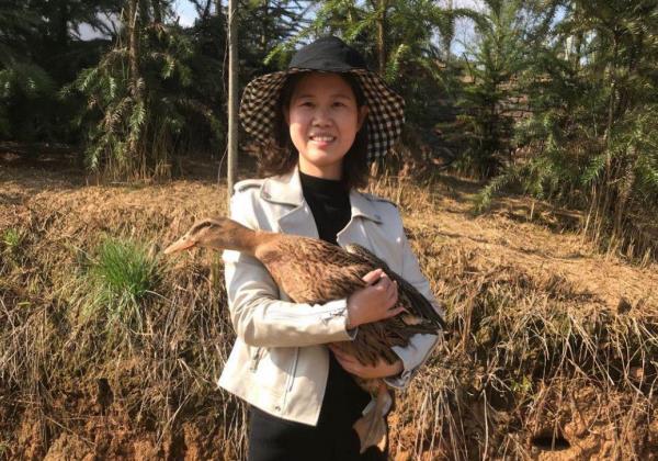 逆向奔跑者陳豔玲：返鄉創業打造新邵農業生态新名片