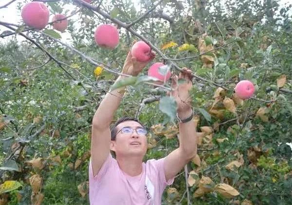 宜川劉雪鋒 ：漂泊十年(nián)返鄉創業，憑一(yī)己之力3天銷售蘋果5萬元