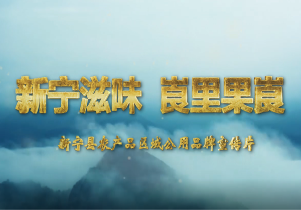 新甯縣區(qū)域公用品牌宣傳片