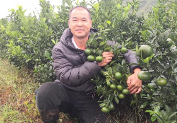 “惠農直播”和(hé)“看(kàn)行(xíng)情”兩大功能(néng)助力惠農網商家日進鬥金(jīn)