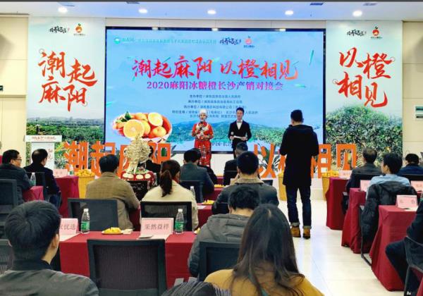 電商抱團助銷 2020年(nián)麻陽冰糖橙長(cháng)沙産銷對接會在惠農網總部舉行(xíng)