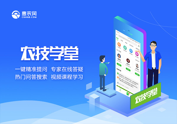 從(cóng)B2B交易到農技知識服務 惠農網始終與一(yī)線農民站在一(yī)起