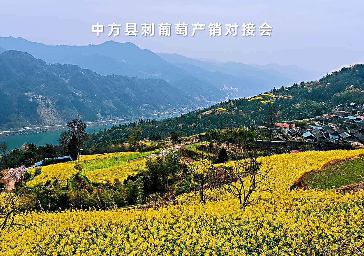 湖南省中方縣刺葡萄産銷對接會