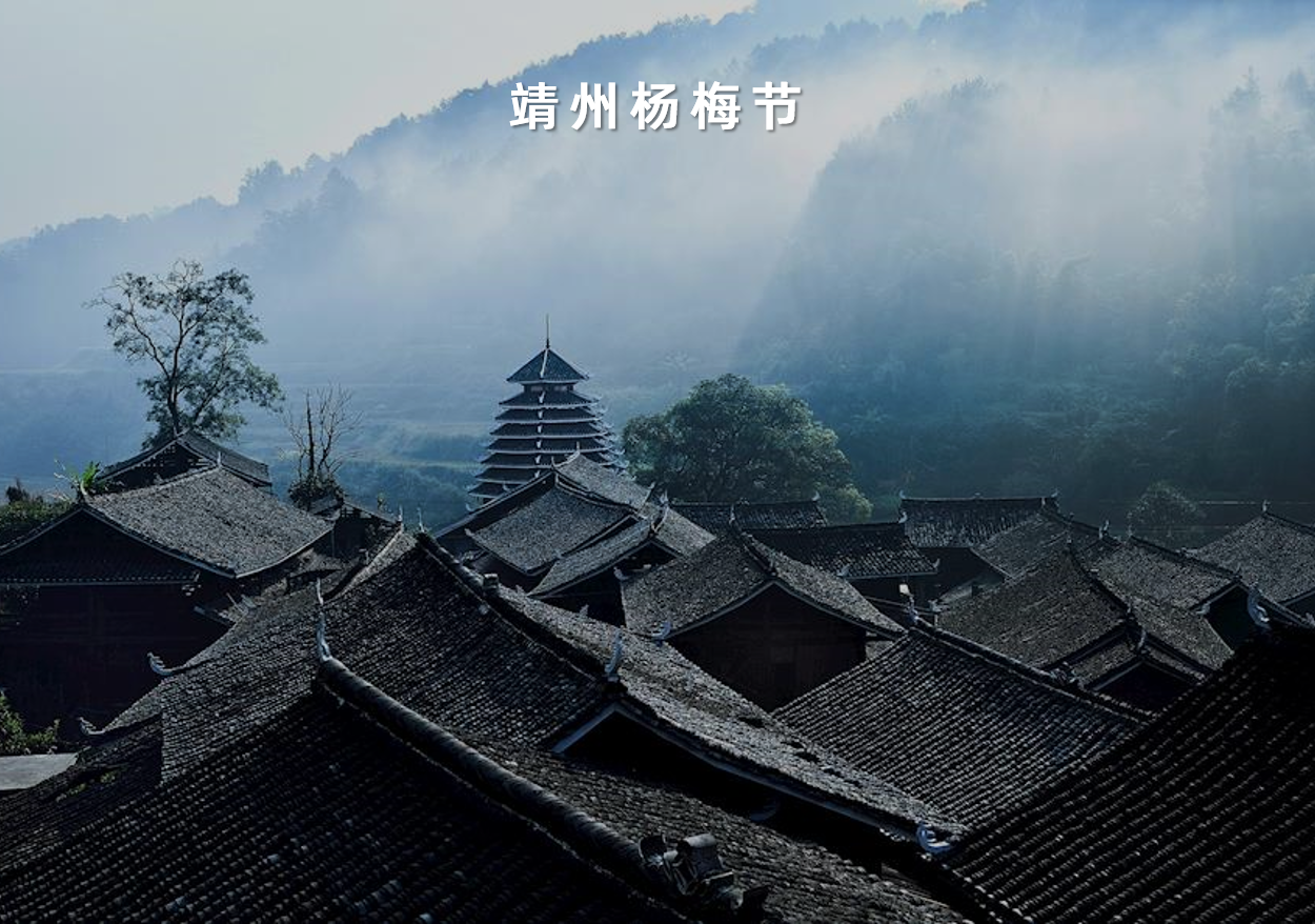 湖南省靖州苗族侗族自(zì)治縣靖州楊梅節