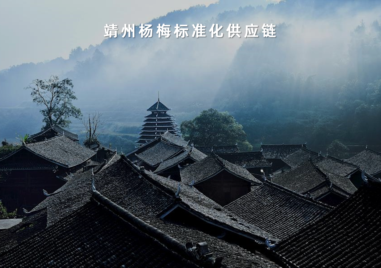 靖州楊梅标準化供應鏈