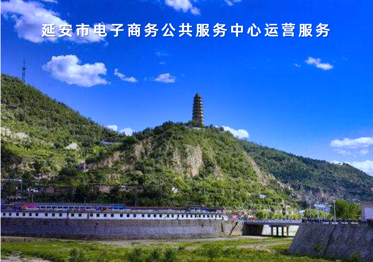陝西(xī)省延安市電子商務公共服務中心運營服務