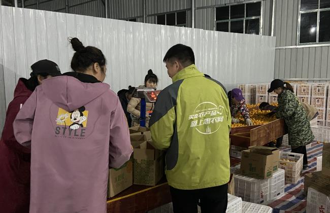 一(yī)手産地(dì)一(yī)手銷地(dì)，惠農網月銷麻陽冰糖橙1000萬斤
