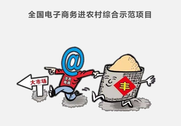 全國(guó)電子商務進農村(cūn)綜合示範項目