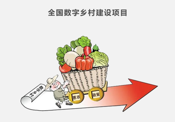 全國(guó)數(shù)字鄉村(cūn)建設項目