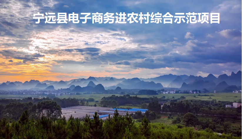 甯遠：“互聯網+農業+旅遊”可(kě)持續發展電商模式 開(kāi)拓鄉村(cūn)振興新路徑