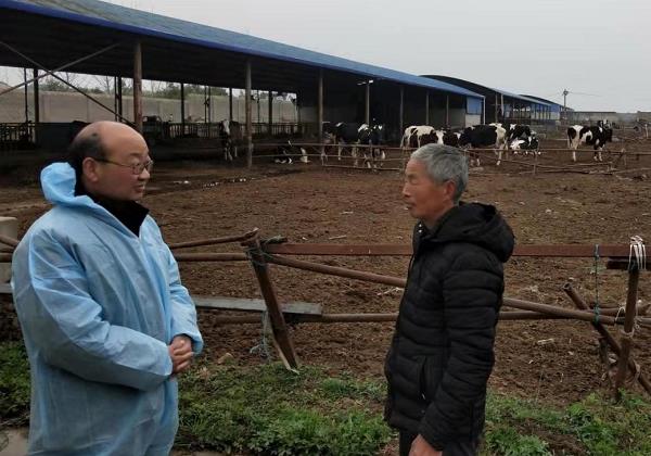惠農網農技專家剛志敏：在線問(wèn)答(dá)+視(shì)頻(pín)課+農技直播讓家豬變“金(jīn)豬”