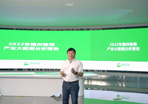 惠農大數(shù)據：靖州楊梅走“紅(hóng)”消費(fèi)市場 後市行(xíng)情看(kàn)漲