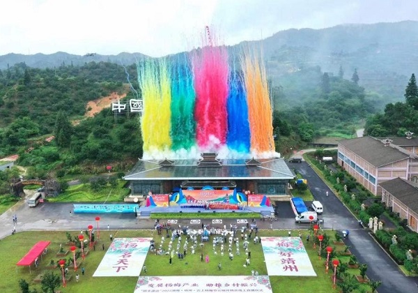惠農網近千位電商站長(cháng)齊助力 靖州楊梅“紅(hóng)”遍全國(guó)