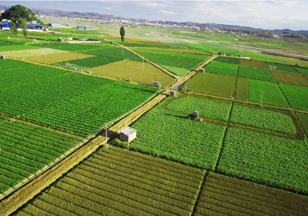 農業農村(cūn)部辦公廳關于開(kāi)展2022年(nián)全國(guó)休閑農業重點縣申報和(hé)監測工(gōng)作(zuò)的通(tōng)知