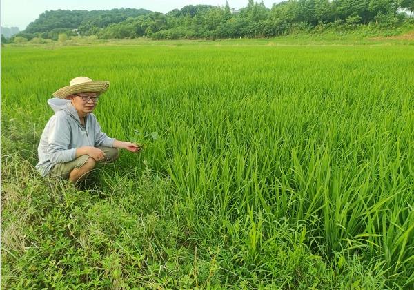 年(nián)入200餘萬元！看(kàn)80後IT高管如(rú)何靠惠農網跨界生财