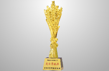 榮獲商務部中國(guó)電商扶貧聯盟“2019年(nián)突出貢獻獎”.jpg