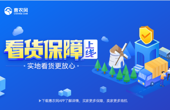 大宗農産品交易必備！惠農網“看(kàn)貨保障”服務讓實地(dì)看(kàn)貨更放心