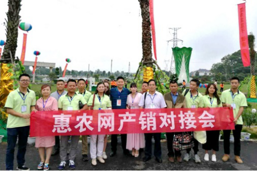 2017漢壽蔬菜網上(shàng)采購節啓幕 惠農網産銷對接助力銷售
