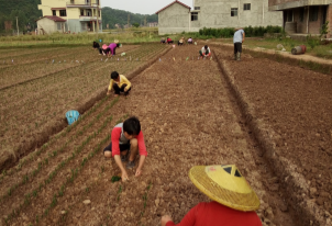 線上(shàng)線下(xià)銷售 生意越做(zuò)越大